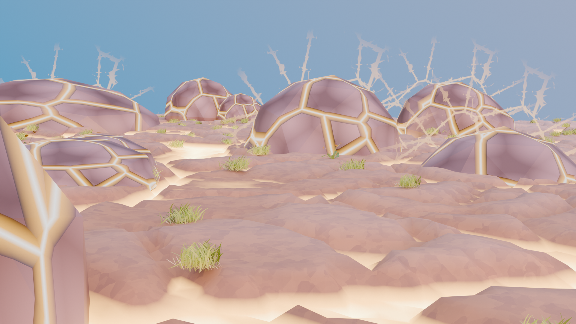 Scene of a rocky field